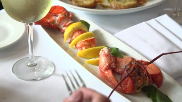 Persona comiendo una cena de langosta — Vídeos de Stock