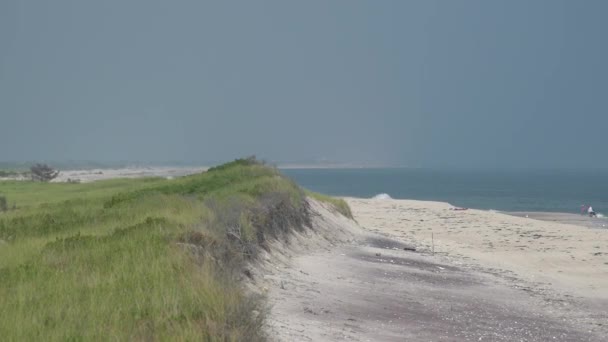 Ho Hum hierba y playa en Fire Island en un día soleado — Vídeo de stock