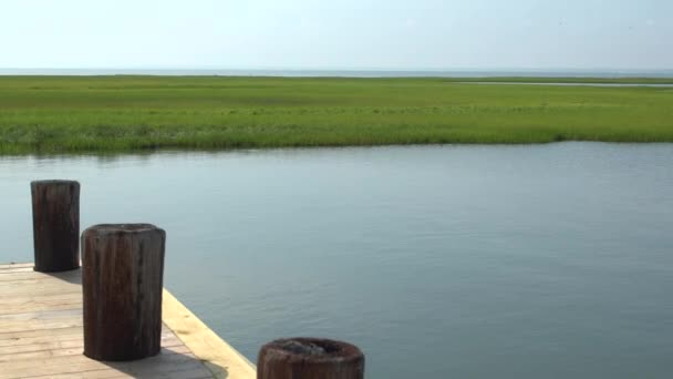 Muelle y pantano cerca de la playa Ho Hum en Fire Island — Vídeos de Stock