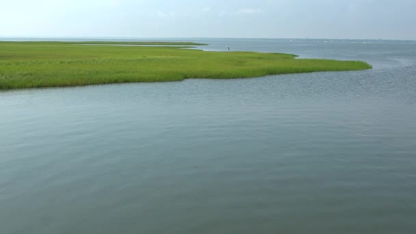 Marsh w pobliżu Ho Hum beach na Fire Island — Wideo stockowe