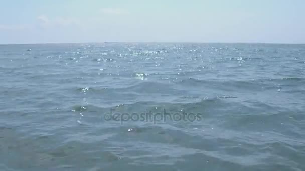 Mitten av havet med en fågel som flyger genom — Stockvideo