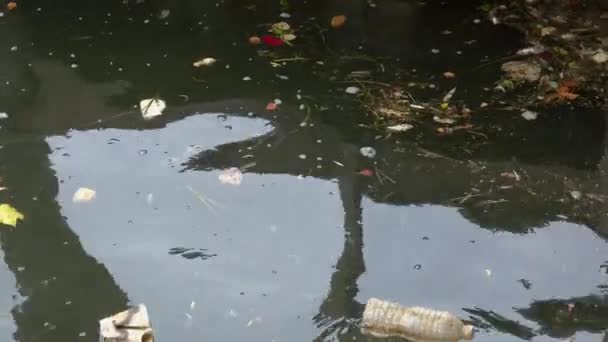 Blick auf schwimmenden Müll — Stockvideo