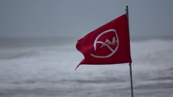 No swimming warning flag blows around — Stock Video