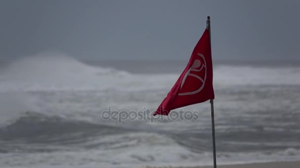 在一场暴风雨没有游泳国旗 — 图库视频影像
