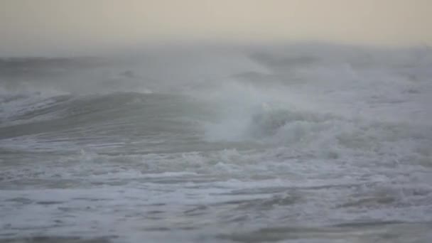 Olas violentas se estrellan cerca de la costa — Vídeo de stock