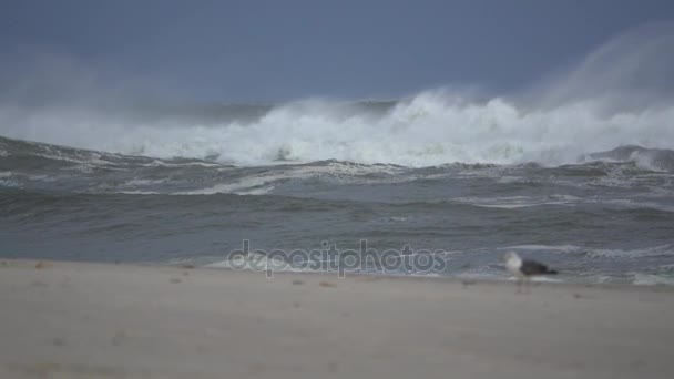 Stijgende storm golven in slow-mo — Stockvideo