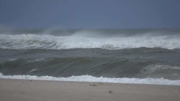 Кёрлинг-волна разбилась на берегу — стоковое видео