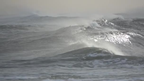 Ondas varridas pelo vento sopram na costa — Vídeo de Stock