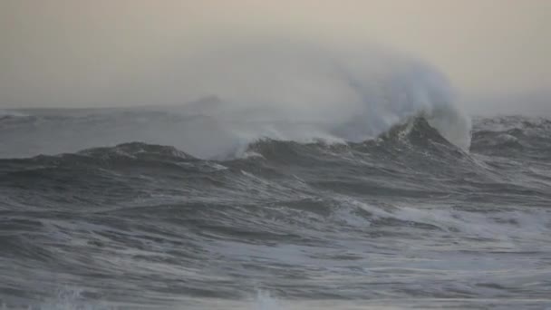Dramatik bazı dalgalar rüzgârlı haline — Stok video