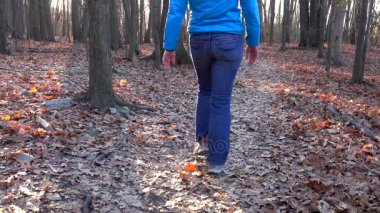 bir kadın uzaklaşır ormanda tek başına