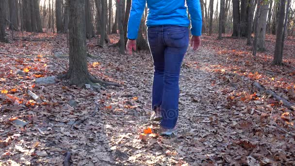 Een vrouw loopt weg alleen in het bos — Stockvideo