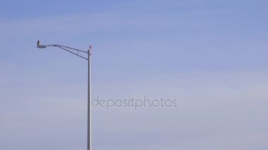 Bir lightpost üzerinde tünemiş bir şahin yakınındaki bir uçak iner