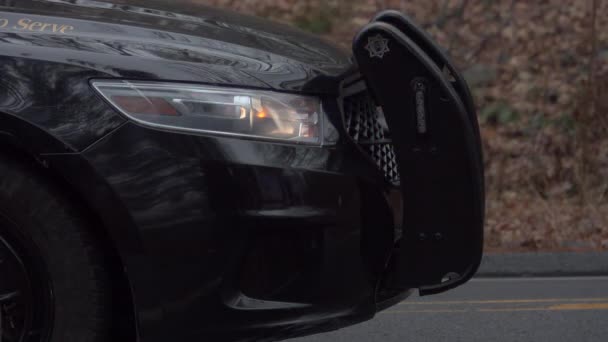 Blikající světla na přední části policejního auta — Stock video