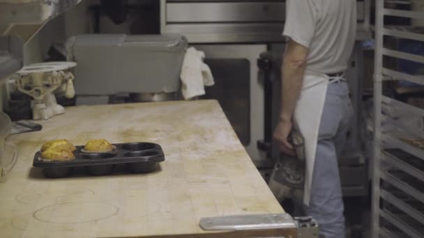 Baker wyciąga piec babeczki świeży — Wideo stockowe