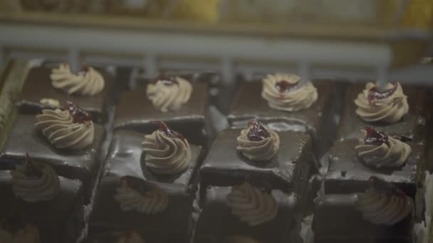 迷你巧克力和胡萝卜蛋糕准备出售 — 图库视频影像