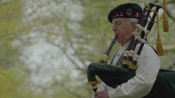 Revolutionaire oorlog tijdperk piper speelt de doedelzak — Stockvideo