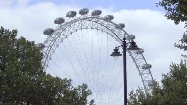 London Eye kolotoč, tyčící se nad stromy — Stock video