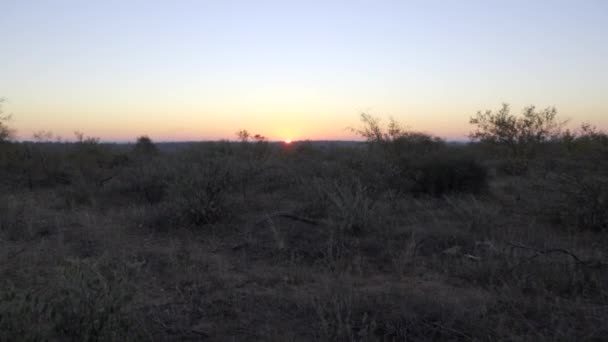 Рано утром восход солнца в ЮАР — стоковое видео