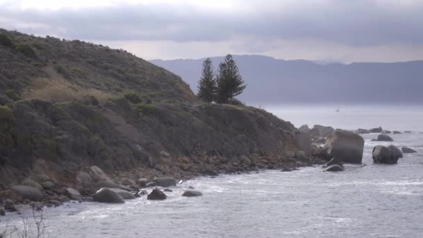 Rivage le long du cap de Bonne-Espérance — Video