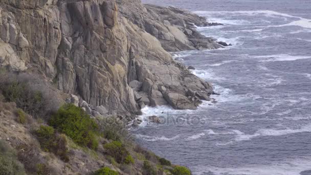 Olas chocan contra las rocas cerca de Hout Bay — Vídeo de stock