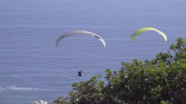 Two paragliders drift in the wind near Cape Town — Stock Video