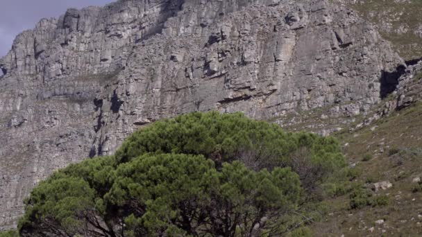 Cable car ascending Table Mountain Aerial Cableway — Stock Video