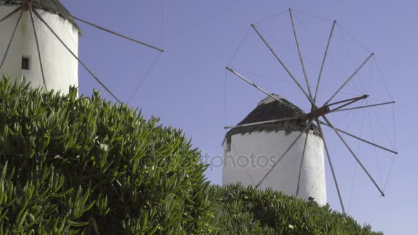 Blick auf ein paar der Mykonos-Windmühlen — Stockvideo