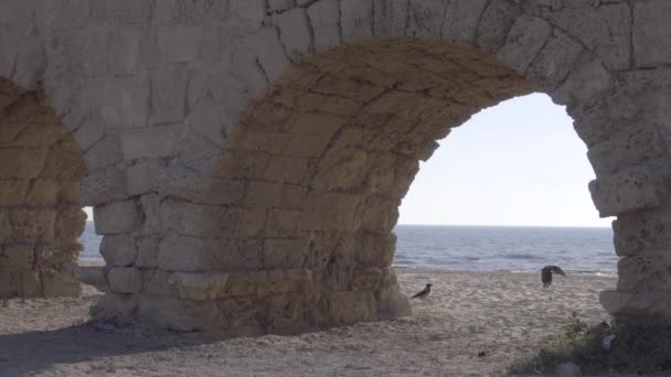 Oceánu poblíž Caesarea akvadukt — Stock video