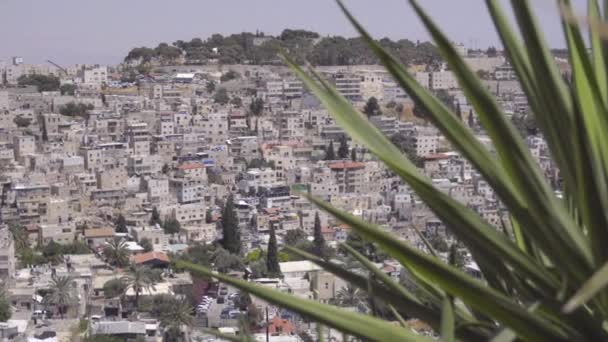 Panorera till residential district i Jerusalem — Stockvideo