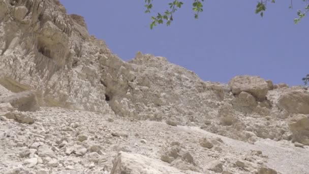 View of the caves of Ein Gedi — Stock Video