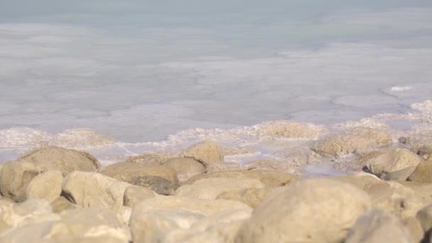 Casserole de roches couvertes de sel sur le rivage de la mer Morte — Video