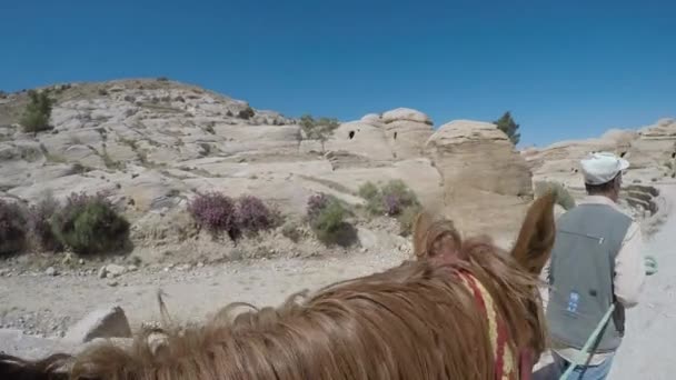 Paseo a caballo en la antigua Petra — Vídeos de Stock