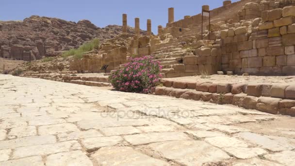 La route à l'intérieur de Petra — Video