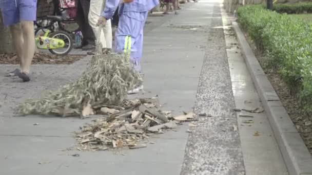 Straat schonere veegt bladeren — Stockvideo