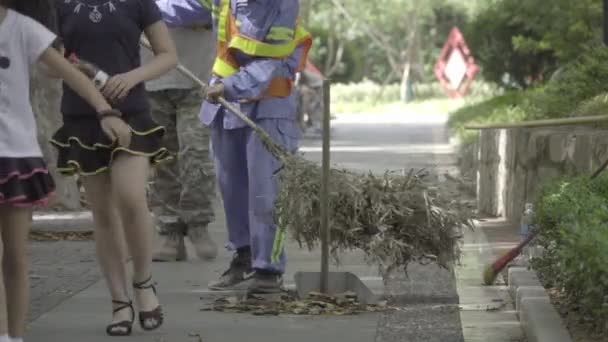 City street schonere veegt met de bezem van een tak — Stockvideo