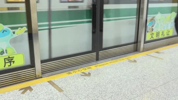 중국 기차는 역에 도착 — 비디오