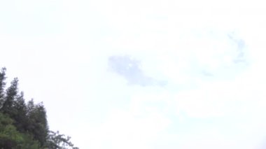 Pirinç paddies gökyüzünden pan