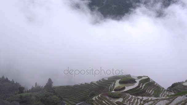 Les nuages épais apportent beaucoup de pluie nécessaire à Ping an — Video