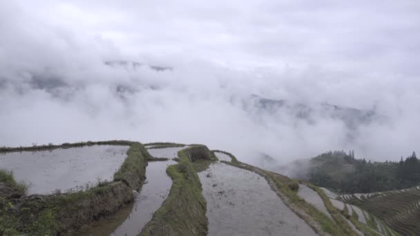 Σύννεφα στην κοιλάδα κοντά στο Ping ένα ρύζι αγροκτήματα — Αρχείο Βίντεο