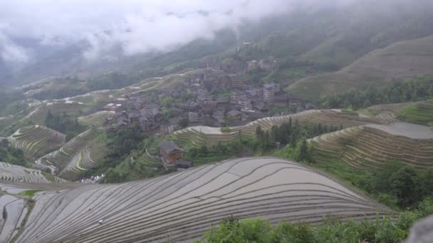 Langsame Pfanne der steilen Reisfelder — Stockvideo