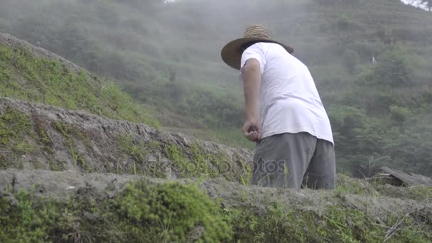 Chinese rijst boer voorbereiding van de bodem — Stockvideo