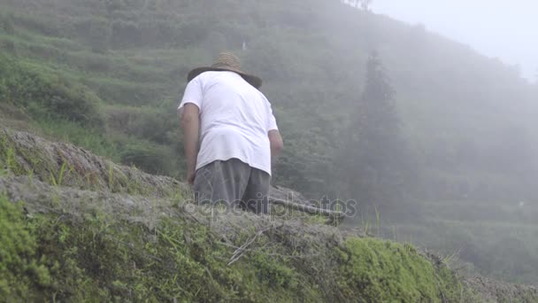 Κινέζος αγρότης χρησιμοποιώντας μια σκαπάνη για να τσεκουριά εδάφους — Αρχείο Βίντεο