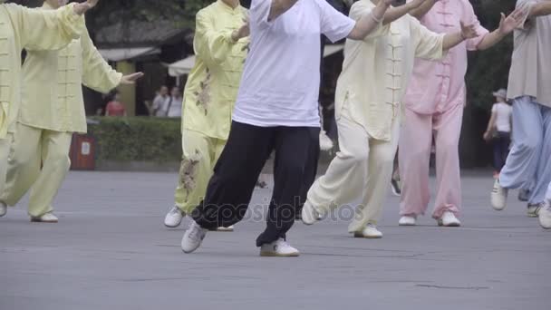 As pessoas praticam a arte antiga de Ti Chi como ioga — Vídeo de Stock