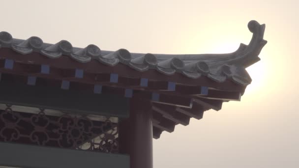 Decoratieve dak detail in de buurt van Summer Palace — Stockvideo