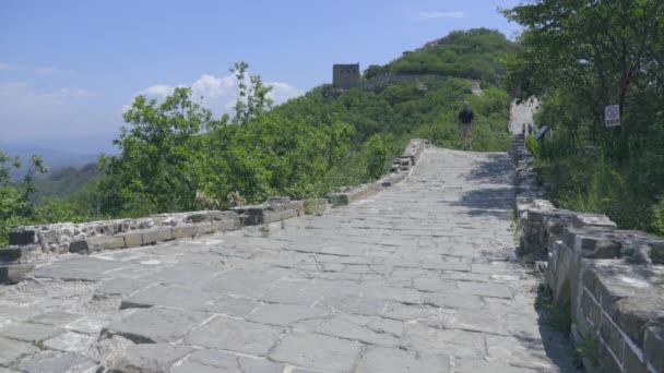 Западный турист обожает прогулки вдоль Великой стены — стоковое видео
