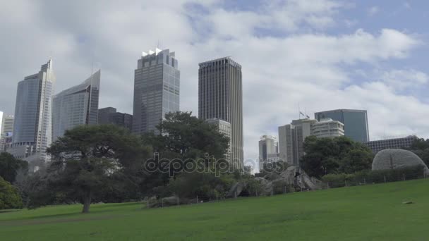 Edificios de negocios altos de Sydney — Vídeo de stock