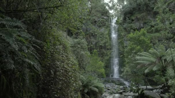 Pan alle cascate ombrose di Erskine — Video Stock