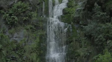 Erskine Falls aşağı kaydırmak