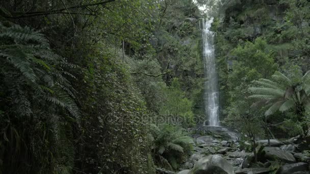 Slow pan of the view at Erskine falls — Stock Video