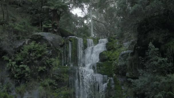 水在厄斯金瀑布上空倾泻 — 图库视频影像